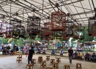 Kicau Mania di Taman Merdeka Depok