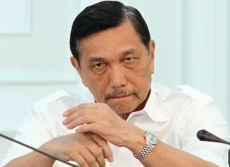 Luhut Soal IKN: Tidak Ada Masalah, Yang Masalah Pimpinannya