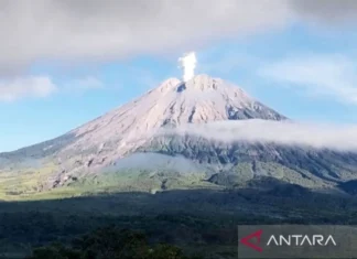 Semeru Erupsi Lagi, Lontarkan Debu Vulkanik 800 Meter