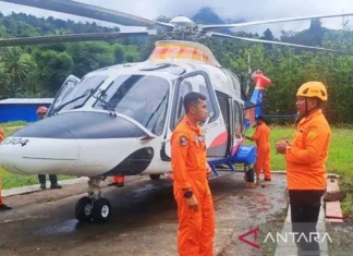 Basarnas Selamatkan 85 Orang Korban Lonsor Tambang Emas Ilegal