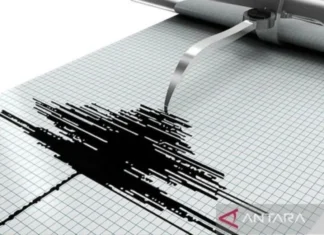 BMKG Deteksi Gempa 5 Magnitude di Ternate Senin Pagi
