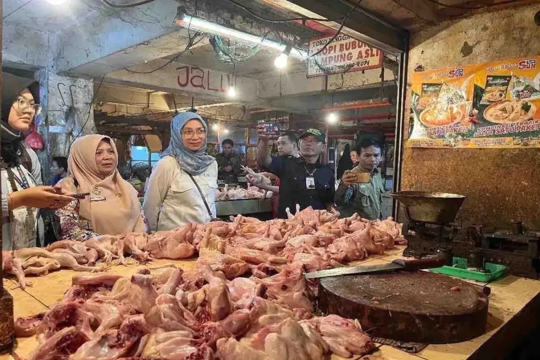 harga pangan turun