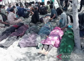 Puluhan Imigran Rohingya Kembali Mendarat Di Aceh Timur, Enam Meninggal