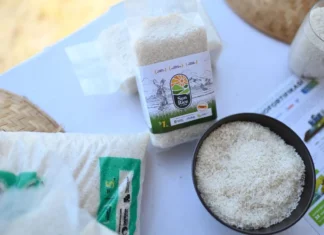 BGN: Beras Biofortifikasi Dapat Tingkatkan Gizi Dan Sistem Pangan