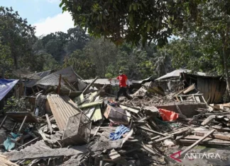 Korban Erupsi Gunung Lewotobi Di Pengungsian Mencapai 4.436 Orang