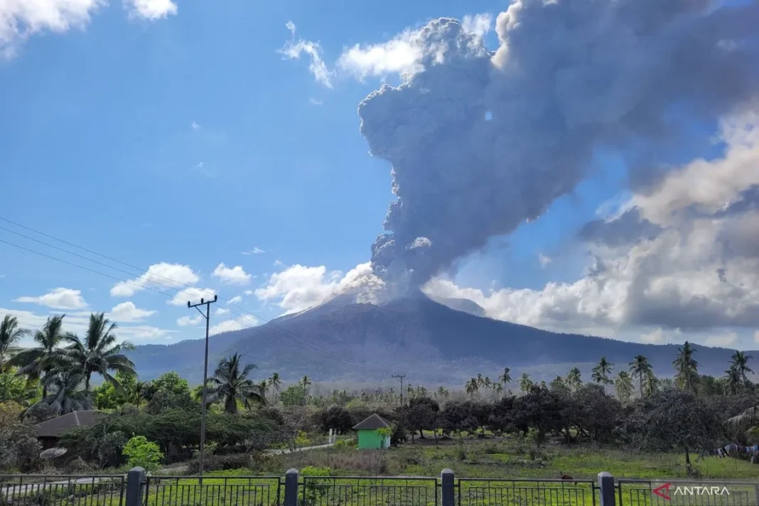 Gunung Lewotobi Laki-laki Flores, NTT