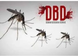 Pentingnya Perusahaan Fasilitasi Vaksin DBD Bagi Karyawan