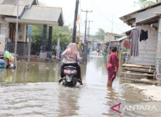 3.657 Kepala Keluarga Di Kabupaten Bekasi Terdampak Banjir Rob