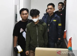 Oknum Komdigi Yang Terlibat Judol Kirim Rekening Rekayasa Ke PPATK