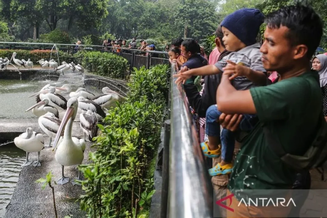 Jumlah pengunjung Ragunan naik dua kali lipat pada hari libur Natal