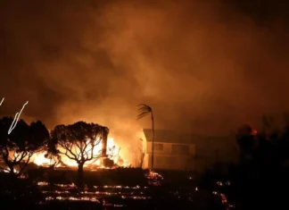 Sejumlah Bintang Hollywood Terdampak Kebakaran di Los Angeles