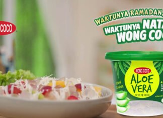 FRUIT CHEESE SALAD NATA WONG COCO