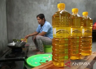 Anggota DPR Minta Pemerintah Tindak Produsen Minyakita yang Curang