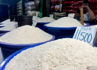 Bulog: Ketersediaan Stok Beras Nasional Aman hingga Akhir Ramadhan