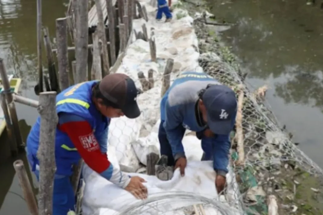 SDA Jakut tinggikan tanggul geobag antisipasi banjir rob di Marunda