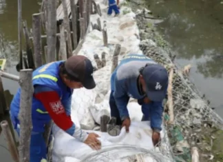SDA Jakut Tinggikan Tanggul Geobag Antisipasi Banjir Rob di Marunda