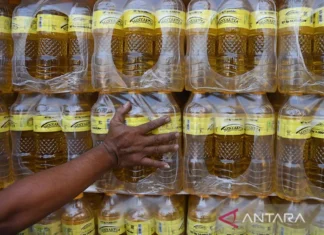 Pengamat Sarankan Kebijakan Baru yang Tidak Mendistorsi Harga MinyaKita