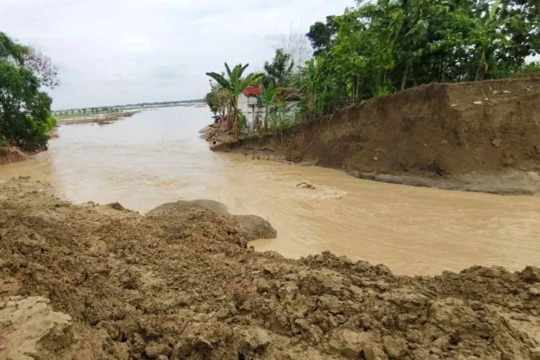 Tanggul Sungai Tuntang di Grobogan jebol lagi, warga kembali ngungsi