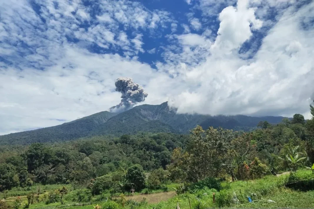 Erupsi Gunung Marapi lontarkan abu vulkanik setinggi 800 meter