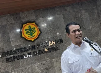 Produksi Beras Nasional April 2025 Diprediksi Capai 1 Juta Ton