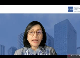 Sri Mulyani Gali Peluang Kerja Sama Danantara dengan Bank Dunia