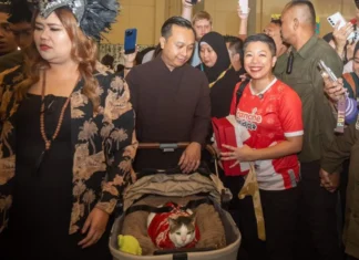 Legislator DKI Memenangkan Lelang Baju Eksklusif Kucing Milik Presiden