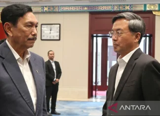 Luhut: China Merasa Puas dengan Investasinya di Indonesia
