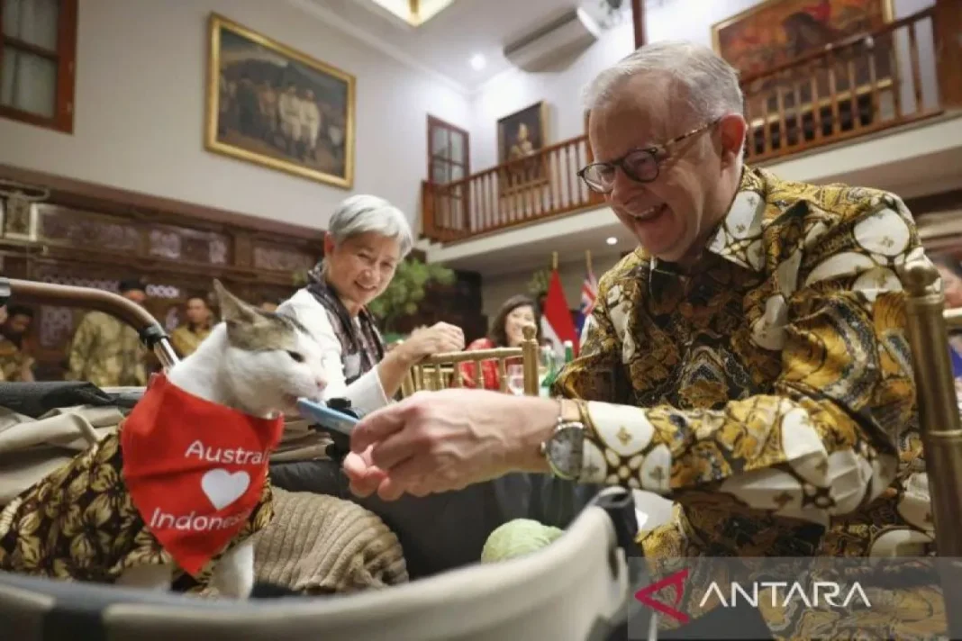 PM Australia beri kalung syal untuk kucing Prabowo Bobby Kartanegara