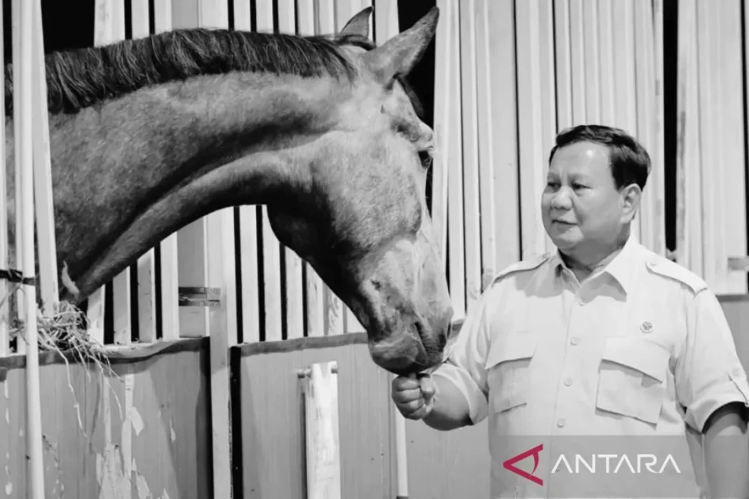 Pemerintahan Prabowo raih dukungan publik 81,2 persen