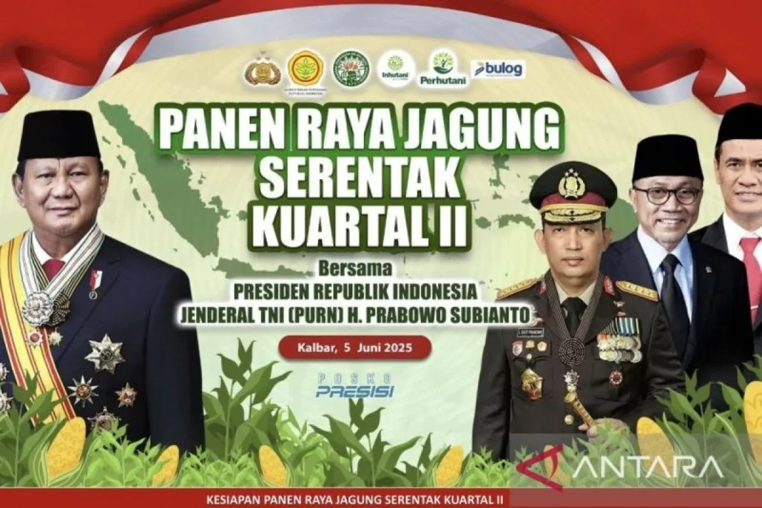 Presiden akan ekspor jagung ke Malaysia dari Kalbar