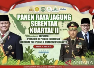 Seskab Teddy: Presiden Ekspor Jagung ke Malaysia dari Kalbar