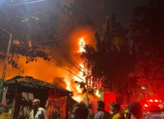 115 Personel Gulkarmat Jaksel Padamkan Kebakaran di Pasar Taman Puring