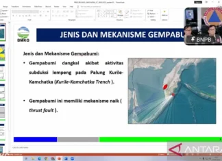BNPB Minta 5 Provinsi Kosongkan Pantai hingga Waspada Tsunami Dicabut