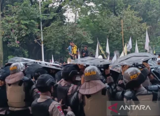 Demo BEM SI sempat Memanas setelah Massa Melempari Botol ke Polisi