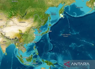 Gempa Rusia, BMKG Keluarkan Peringatan Dini Tsunami di Gorontalo-Papua