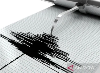 Gempa Rusia Picu Peringatan Waspada Tsunami di Negara Bagian AS