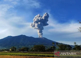 Dentuman Erupsi Gunung Marapi Terdengar hingga Bukittinggi