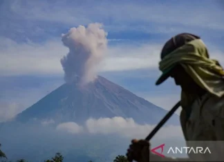 Gunung Semeru Erupsi 5 Kali Rabu Pagi, Tinggi Letusan Capai 1000 Meter