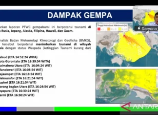 KBRI Imbau WNI di Jepang yang Terima Peringatan Tsunami untuk Evakuasi