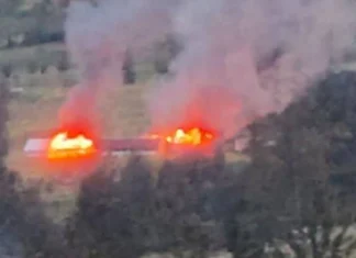 Kapolres Puncak: KKB Bakar Gedung Sekolah dan Rumah Guru SD Pinapa
