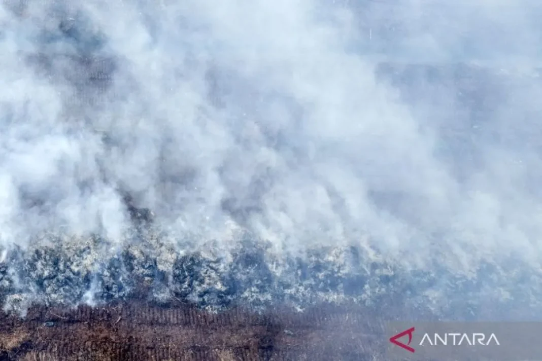 Terkendala sumber air, karhutla Muaro Jambi belum bisa dipadamkan
