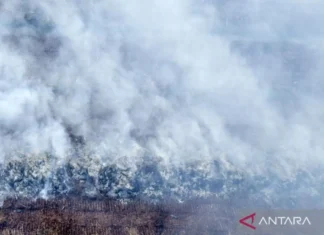 Terkendala Sumber Air, Karhutla Muaro Jambi belum bisa Dipadamkan