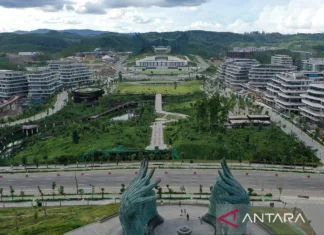 Istana Tegaskan Tidak Ada Rencana Moratorium IKN: Pembangunan Sesuai Target