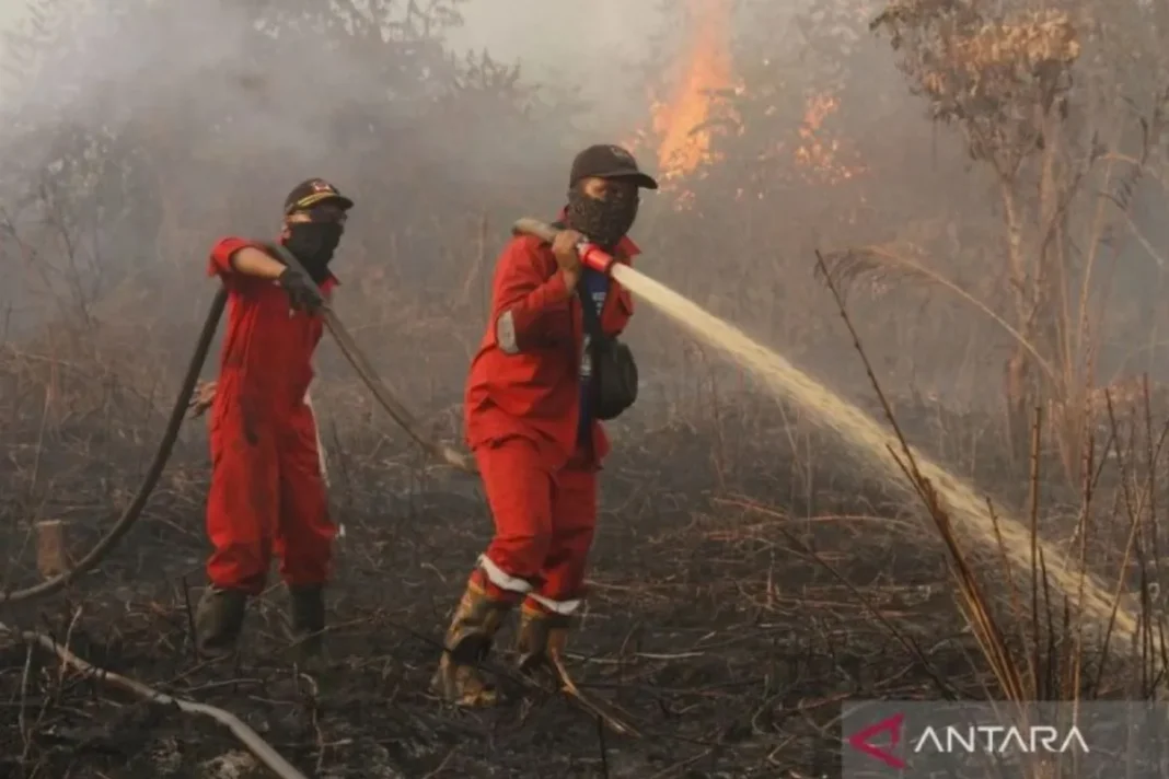 Titik panas meningkat, Pemprov Riau tetapkan tanggap darurat karhutla