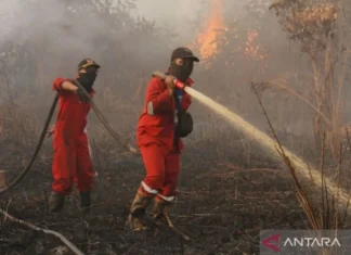 Titik Panas Meningkat, Pemprov Riau Tetapkan Tanggap Darurat Karhutla