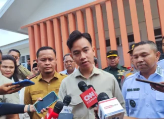 Wapres Gibran sebut kasus karhutla menurun 85 persen dalam 10 tahun
