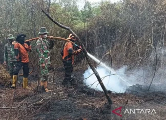 BPBD Muara Enim sebut karhutla di Sungai Rotan capai 10 hektare