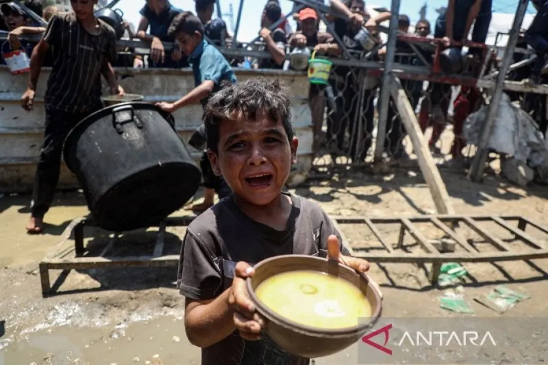 Gaza darurat, 251 tewas Karena kelaparan, 110 di antaranya anak