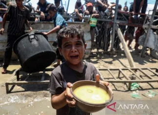 Gaza Darurat, 251 Tewas karena Kelaparan, 110 di antaranya Anak