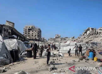 Palestina Apresiasi Mesir dan Yordania atas Upaya Bantu Gaza